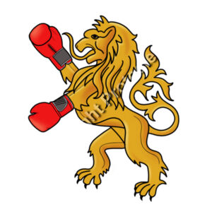 boxing lion kids Design